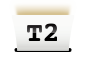 T2
